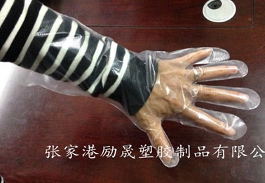 太倉(cāng)一次性PE手套價(jià)格